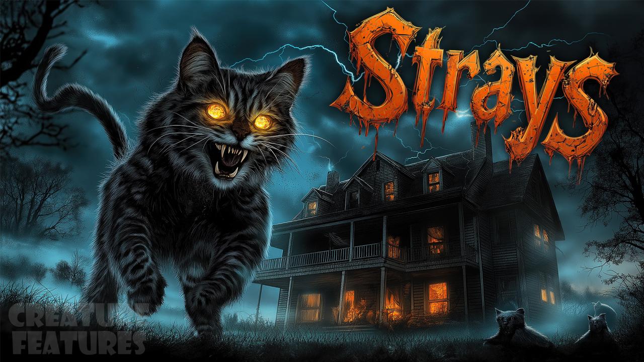 Thumbnail image for Creature Features: Strays