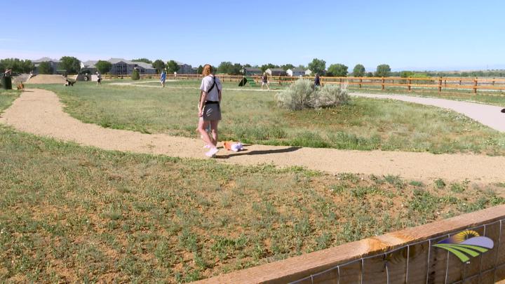 Thumbnail image for Erger's Dog Park now open to Brighton's furriest friends